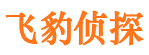 浈江市调查公司